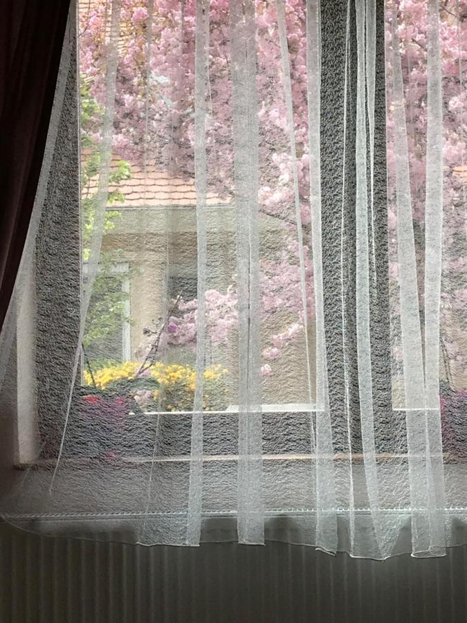 Casa Marherita Appartman Hajdúszoboszló Zewnętrze zdjęcie